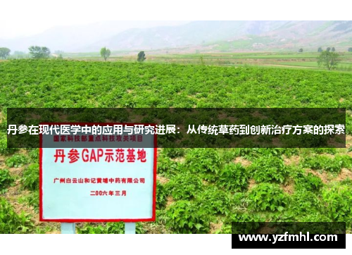 丹参在现代医学中的应用与研究进展：从传统草药到创新治疗方案的探索