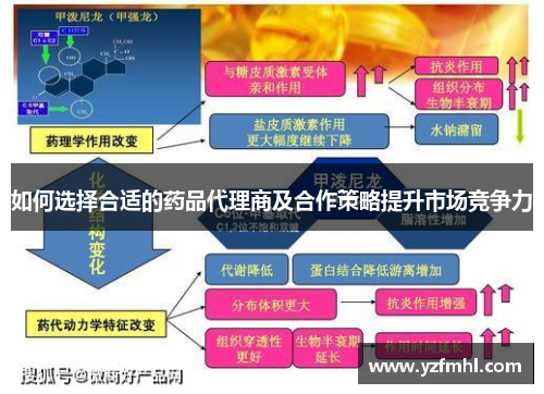 如何选择合适的药品代理商及合作策略提升市场竞争力