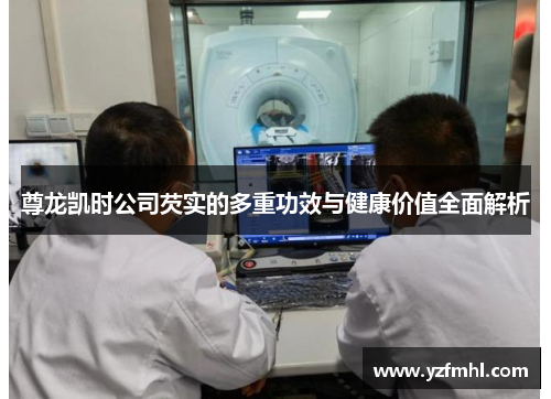 尊龙凯时公司芡实的多重功效与健康价值全面解析