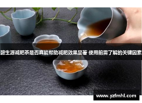 碧生源减肥茶是否真能帮助减肥效果显著 使用前需了解的关键因素