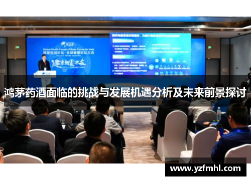 鸿茅药酒面临的挑战与发展机遇分析及未来前景探讨