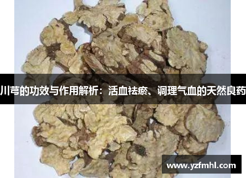 川芎的功效与作用解析：活血祛瘀、调理气血的天然良药