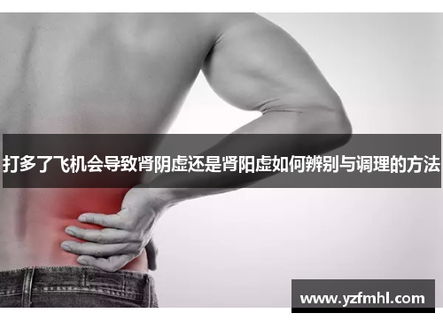 打多了飞机会导致肾阴虚还是肾阳虚如何辨别与调理的方法